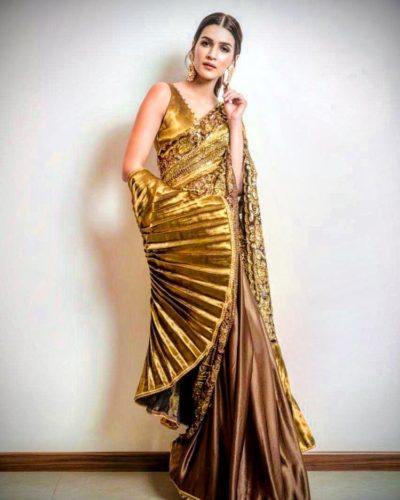 Kriti Shanon's Sarees Collection (10)
