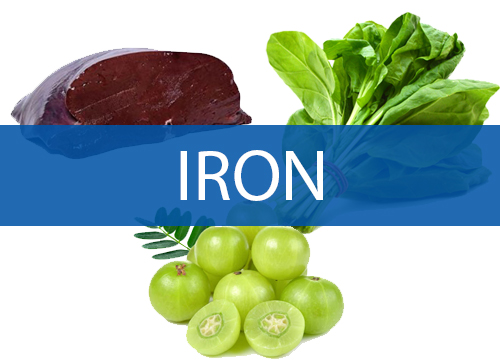 Foods for Iron