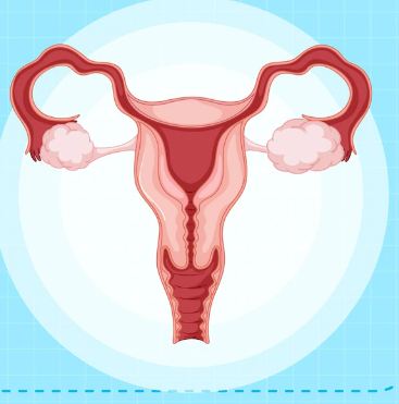 uterine tumour fibroid