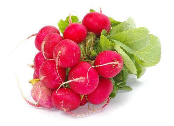 fun facts about radish