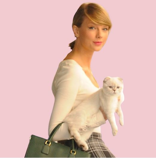 taylor swift with her cat