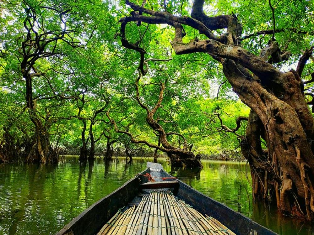 Ratargul swamp forest sylhet how to go