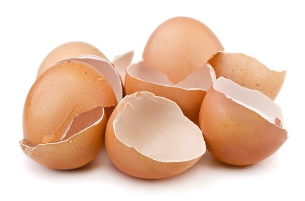 ডিমের খোসা egg shell