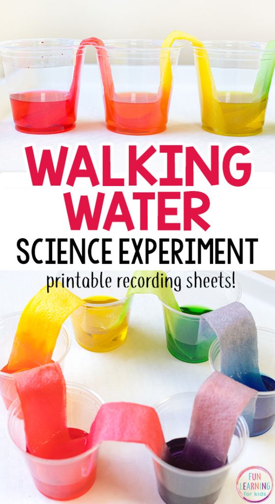 Walking Water Science Experiment for Kids