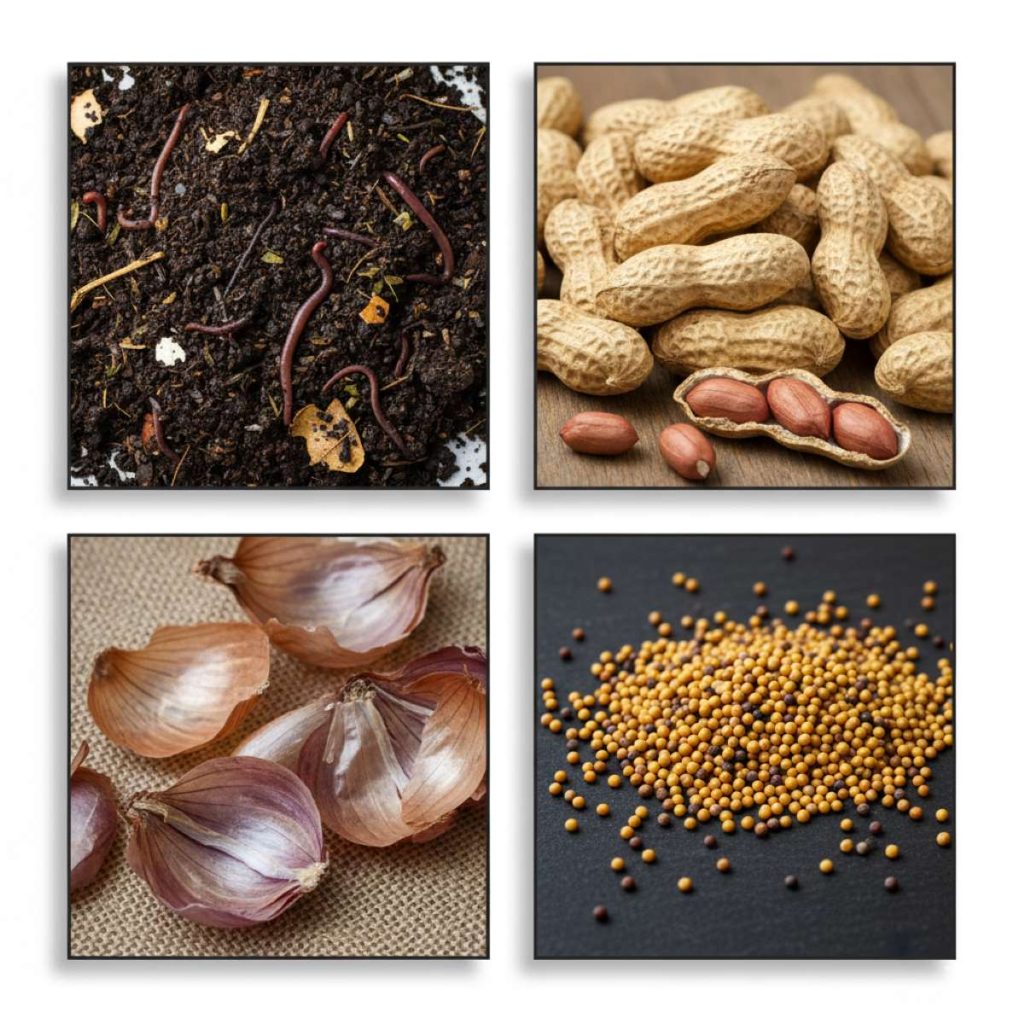 organic fertiliser with peanut, mustard and onion 