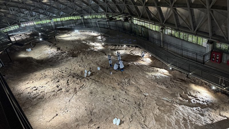 Researchers work at the dinosaur egg fossil cluster conservation project site, Shiyan, central China's Hubei Province, April 21, 2026. /VCG