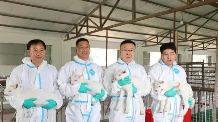https://img2.chinadaily.com.cn/images/202605/15/6a06746fa310d68600fd8036.jpeg