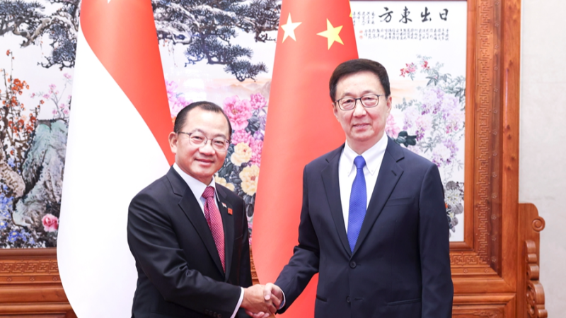 Chinese Vice President Han Zheng (R) shakes hands with Seah Kian Peng, speaker of the Parliament of Singapore, in Beijing, China, June 12, 2026. /Xinhua