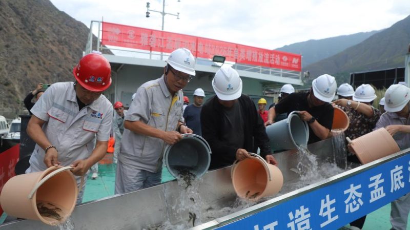 https://english.news.cn/20260606/4c4357f84a7a45e7b339785305d17956/202606064c4357f84a7a45e7b339785305d17956_e58466b966b148e8bbff66d2aa9d3f14.JPG