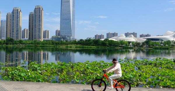 WHO official hails China's efforts to promote physical activity