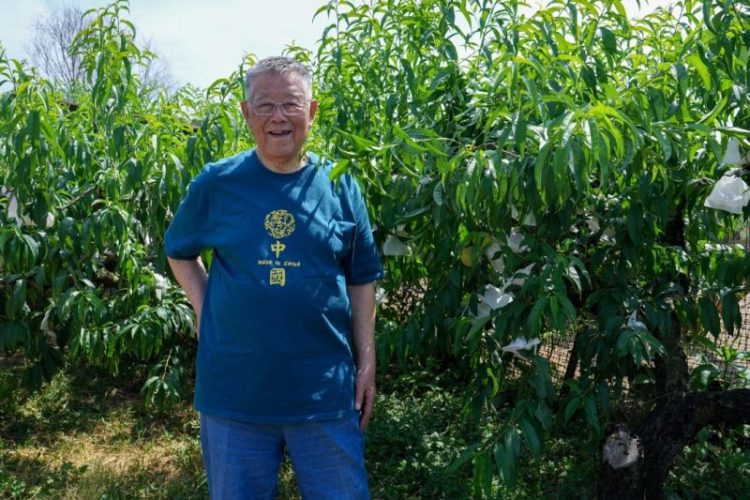 At 85, pioneering agri scientist still works in the field - Chinadaily.com.cn