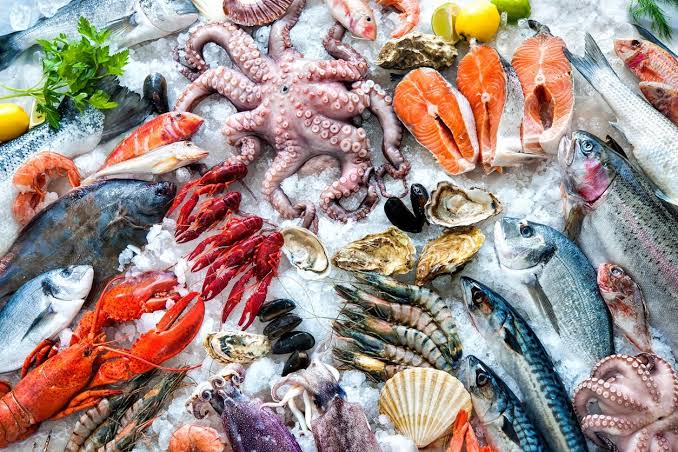 China opens duty-free market to Somali seafood exports – AfricaChinaReview