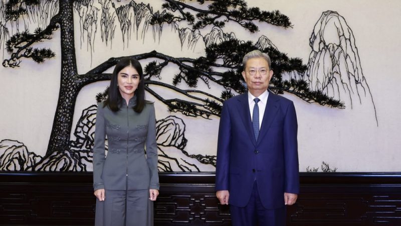 China's top legislator meets head of Uzbek presidential administration -  CGTN
