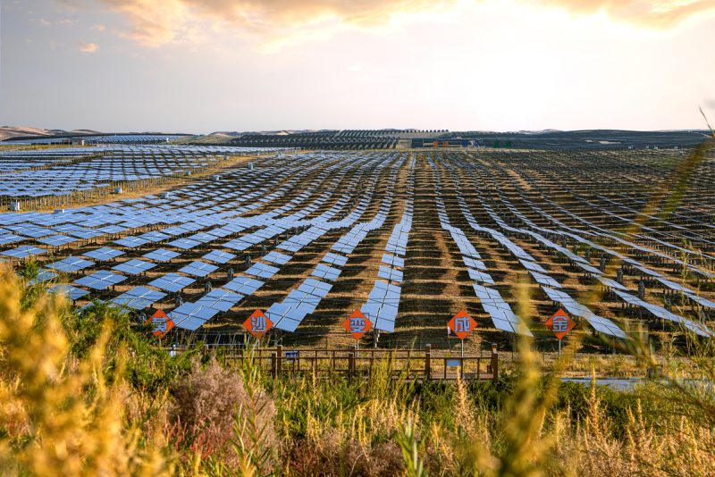 Inner Mongolia powers ahead with energy transformation - Chinadaily.com.cn