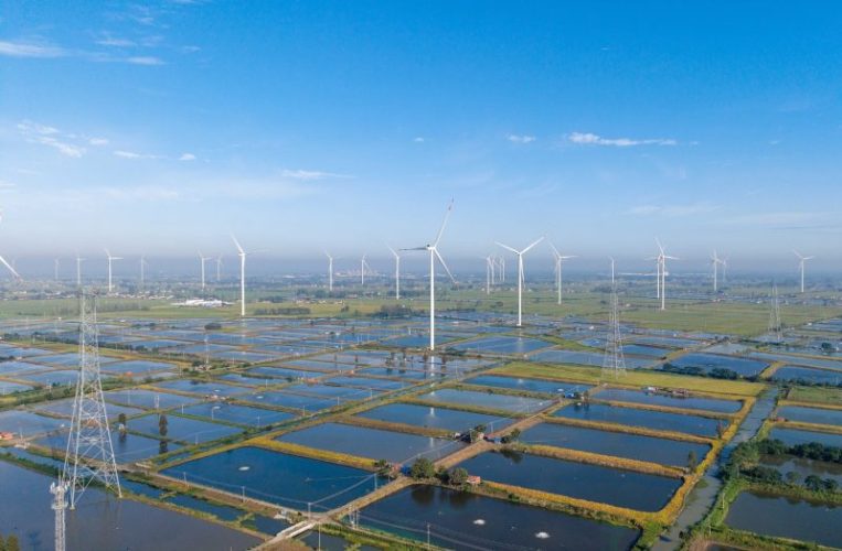 A view of wind turbines rotating over a 400-hectare fish pond aquaculture zone in Gaoyouhu Village, east China's Jiangsu Province, October 4, 2026. /VCG