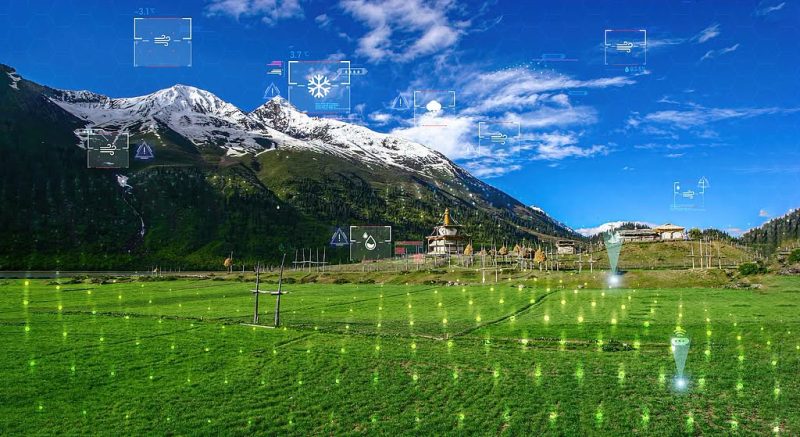 May be an image of grass, ski slope and text