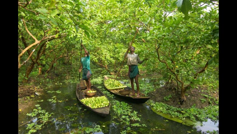 কম টাকায় সংসার চালানোর উপায় কী