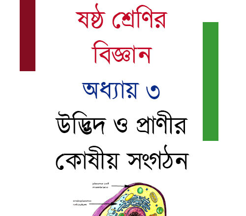 ষষ্ঠ শ্রেণির বিজ্ঞান : তৃতীয় অধ্যায় : উদ্ভিদ ও প্রাণীর কোষীয় সংগঠন