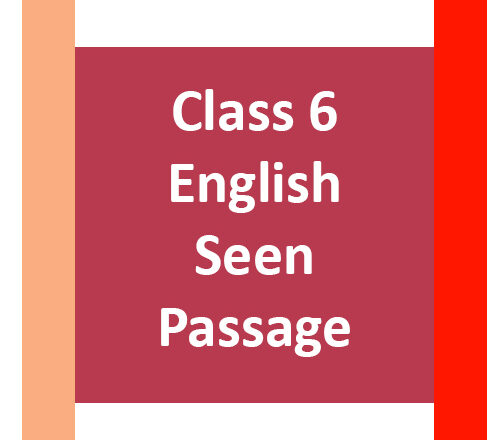 Class 6 English Seen Passage