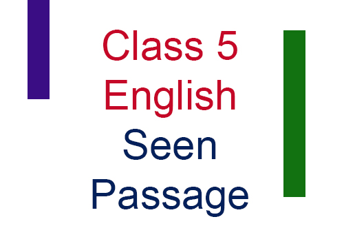 Class 5 English Seen Passage Question type 1-4