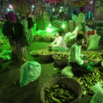 kawran bazar vegetable price