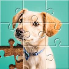 10 puzzles with answers for kids