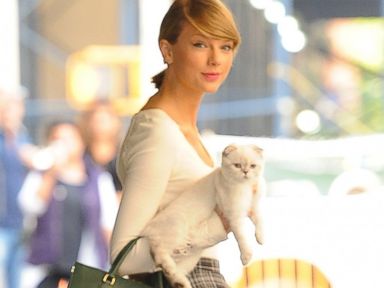 20 Lesser-known Facts about Taylor Swift