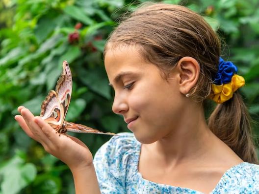 50 Fun Facts about Butterfly for Kids