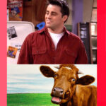 Funny essays by ChatGPT if joey wrote essay on cow