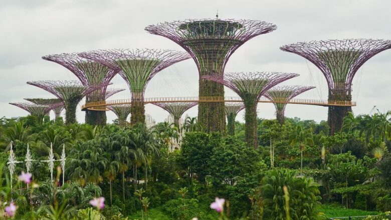 Gardens by the Bay: A Must-Visit Destination in Singapore