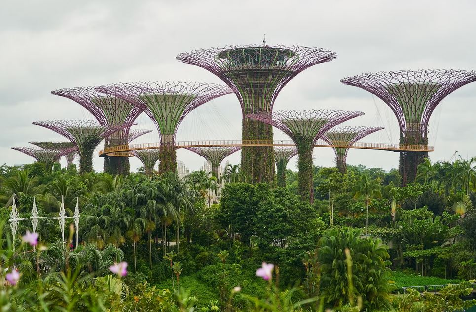 gardens by the bay singapore 1
