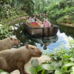 how to go singapore zoo