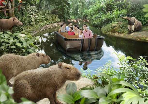 Singapore Zoo: A Wild Adventure for Animal Lovers