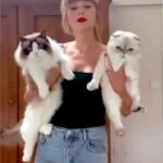 taylor swift with her cat