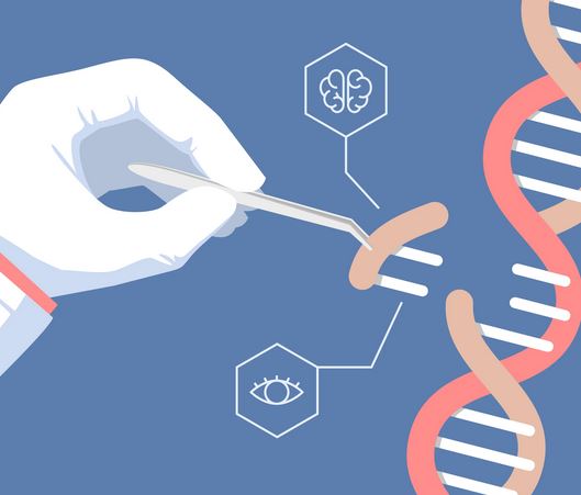 Gene Editing Easy Explanation with Examples
