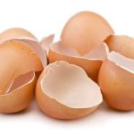 ডিমের খোসা egg shell