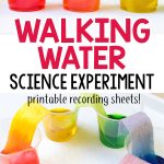 Walking Water Science Experiment for Kids