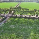 a green village of china