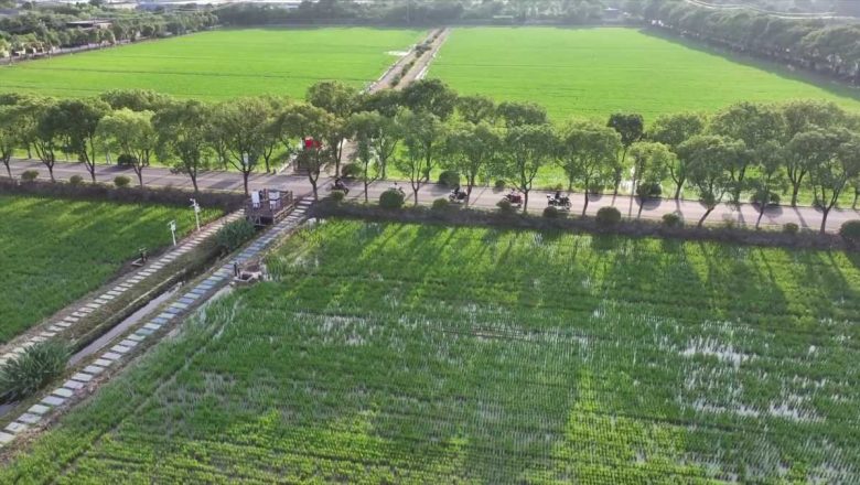 যেভাবে ‘স্বচ্ছ জল আর সবুজ পাহাড়’-এর শহর হলো চীনের তোংসিয়াং