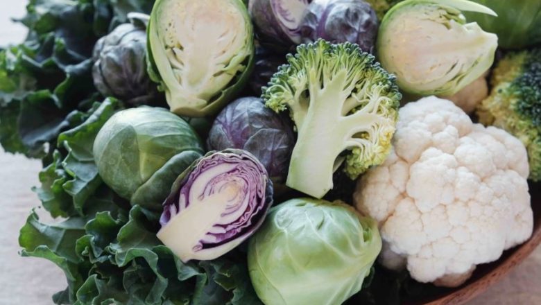 ক্রুসিফেরাস ফসলের ‘ক্যানসার’ প্রতিরোধে জিন খুঁজে পেলেন চীনা গবেষকরা