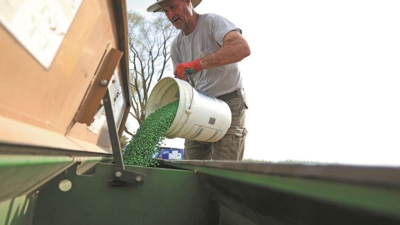 চীনা অর্ডার বন্ধ, ধুঁকছে মার্কিন সয়াবিন চাষিরা