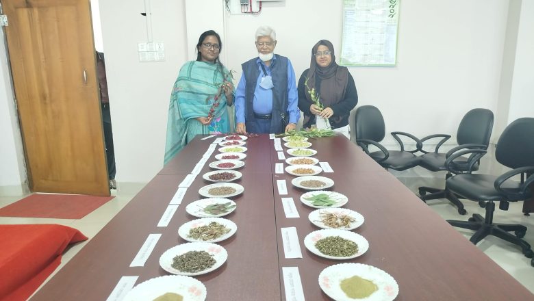 রোজেল: দেশে নতুন ইন্ডাস্ট্রিয়াল উদ্ভিদের নতুন সম্ভাবনা