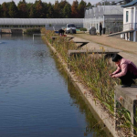 টেকসই পানি শোধন সিস্টেম বানালেন চীনা গবেষকরা
