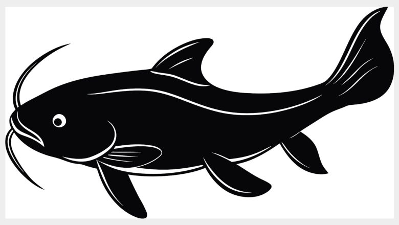 সংরক্ষিত মাছের জিন-মানচিত্র উন্মোচন চীনে