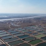 ইনার মঙ্গোলিয়ায় পর্যটন ও অর্থনীতিতে হলুদ নদীর মৎস্য শিল্প