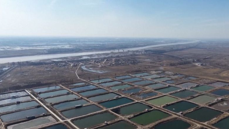 ইনার মঙ্গোলিয়ায় পর্যটন ও অর্থনীতিতে হলুদ নদীর মৎস্য শিল্প