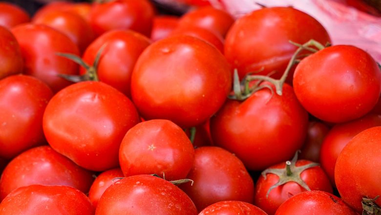 চীনে মরুর লবণাক্ত জমিতে ফলছে অর্থকরী ফল