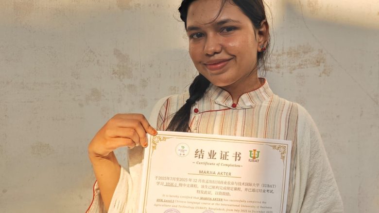 স্বপ্ন যখন ভাষা শেখায়: চীনা অক্ষরে মার্জিয়ার অনুপ্রেরণার গল্প