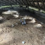 ডাইনোসরের ডিমের জীবাশ্ম রক্ষায় ন্যানো আবরণ দিচ্ছেন চীনা বিজ্ঞানীরা