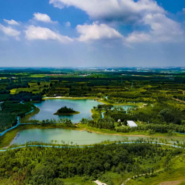 আগে সবুজ, পরে শহর